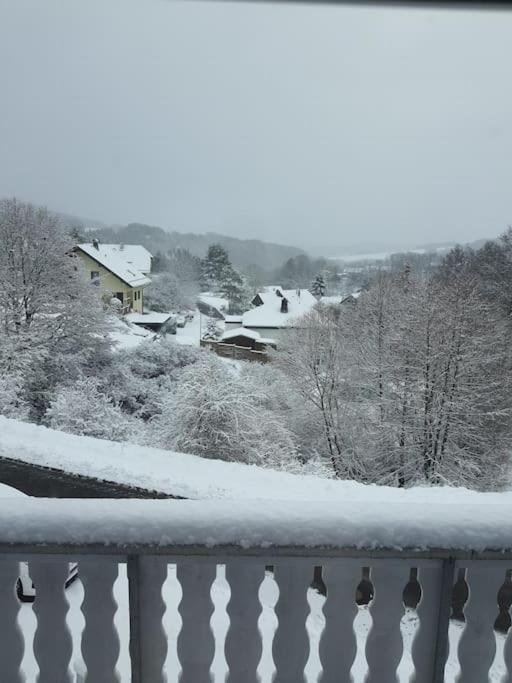 Holzhaus Chalet Nationalpark Eifel Hund Willkommen Hellenthal Exterior foto