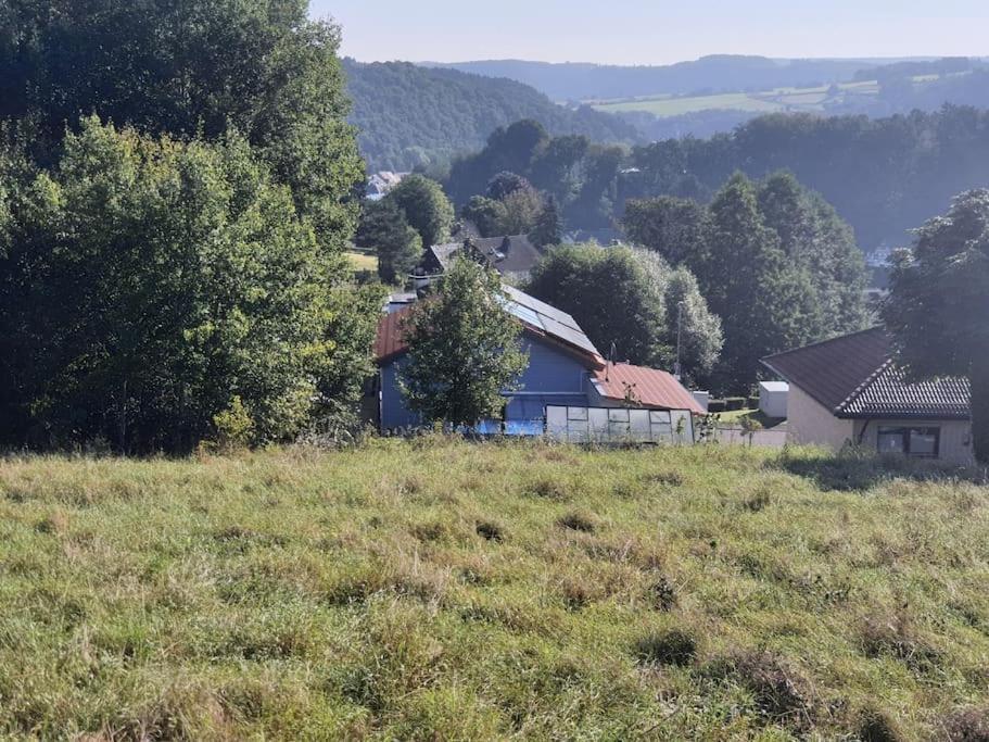 Holzhaus Chalet Nationalpark Eifel Hund Willkommen Hellenthal Exterior foto