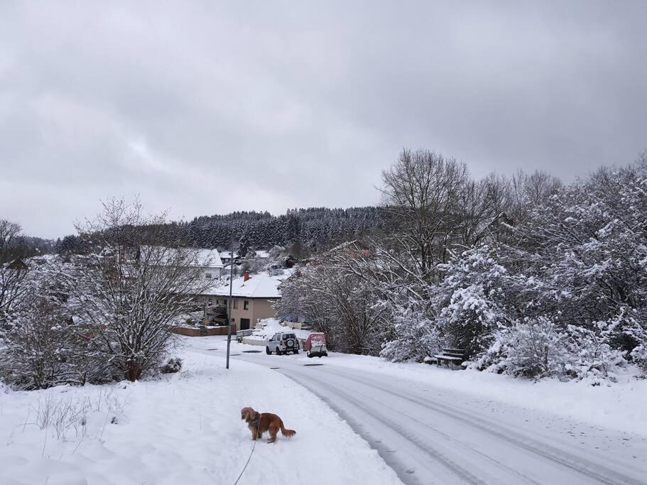 Holzhaus Chalet Nationalpark Eifel Hund Willkommen Hellenthal Exterior foto